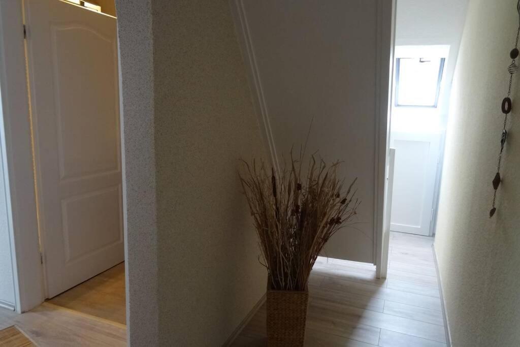 Ferienwohnung Ca 85 Qm Zzgl 17 Qm Terrasse Hannover Exterior photo